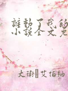 谁动了我的老婆小说全文免费阅读