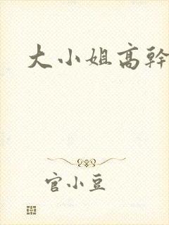 大小姐高干h