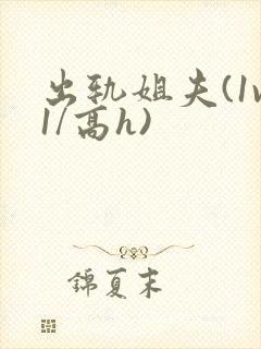 出轨姐夫(1v1/高h)