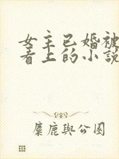 女主已婚被男主看上的小说