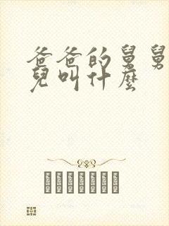 爸爸的舅舅的女儿叫什么