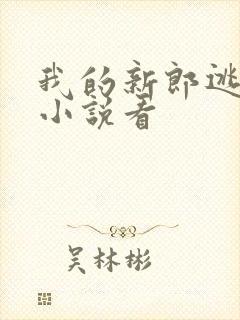我的新郎逃婚了小说看
