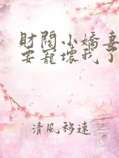 财阀小娇妻叔你要宠坏我了我
