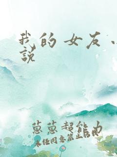 我的 女友 小说