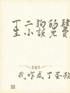 丁二狗的肆意人生小说免费