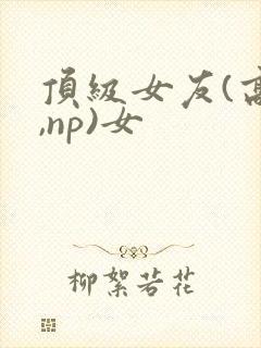 顶级女友(高h,np)女