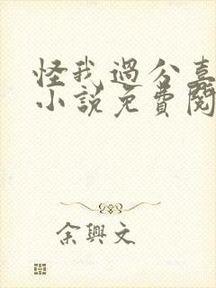 怪我过分喜欢你小说免费阅读