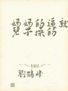 妈妈的逼就是给儿子操的