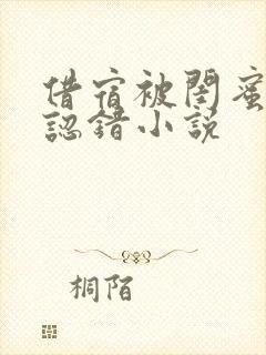 借宿被闺蜜男友认错小说