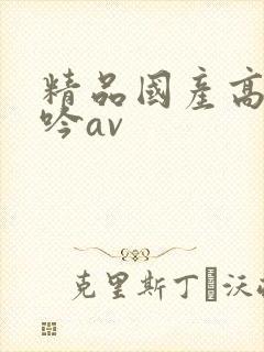 精品国产高潮呻吟av