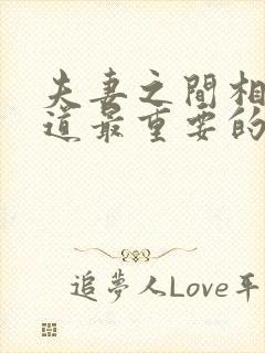 夫妻之间相处之道最重要的是什么