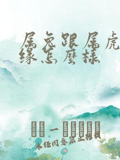 属兔跟属虎的姻缘怎么样