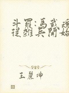 斗罗:马武魂,从杂兵开始签到的小说