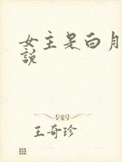 女主是白月光小说