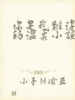 你是我难得一见的温柔小说免费阅读