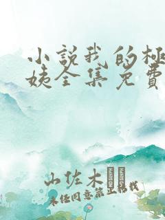 小说我的极品小姨全集免费