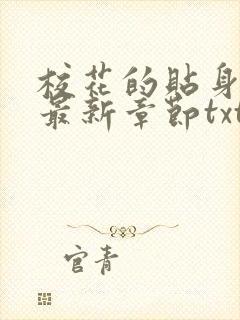 校花的贴身高手最新章节txt