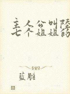 主人公叫陆云有七个姐姐的小说