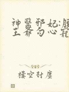 神医邪妃:腹黑王爷勾心宠