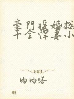 豪门暖婚总裁的千金悍妻小说