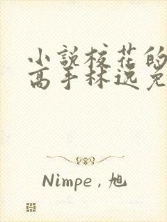 小说校花的贴身高手林逸免费