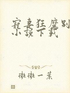 宠妻狂魔别太坏小说下载