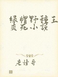 绿帽野种王八奴爽死小说