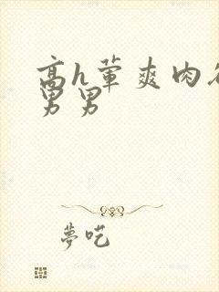 高h荤爽肉欲文男男