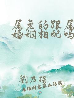 属兔的跟属马的婚姻相配吗