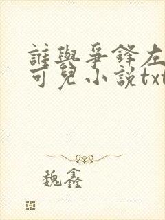 谁与争锋左飞林可儿小说txt全文免费下载