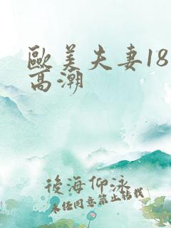 欧美夫妻18性高潮