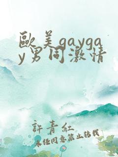 欧美gaygay男同激情