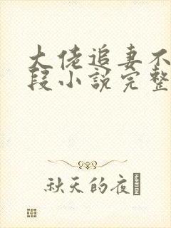 大佬追妻不择手段小说完整版