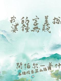 我的完美总裁老婆钟无贱