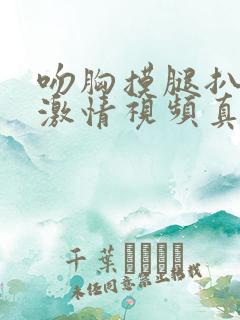 吻胸摸腿扒内裤激情视频真实