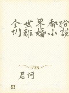 全世界都盼着我们离婚小说免费阅读全文