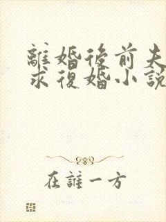 离婚后前夫哭着求复婚小说免费观看完整版