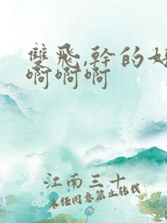 双飞,干的好爽啊啊啊