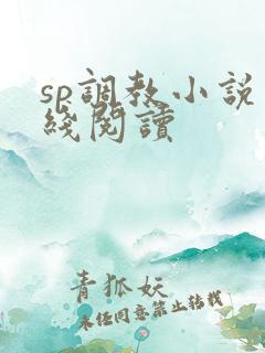 sp调教小说在线阅读