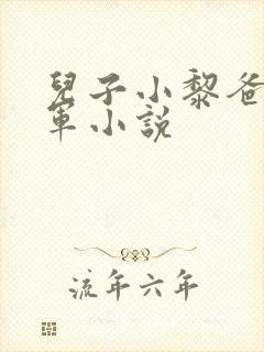 儿子小黎爸爸大军小说