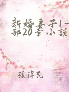 新婚妻子1—3部20章小说