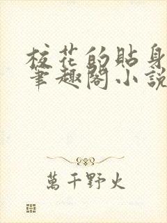 校花的贴身高手笔趣阁小说