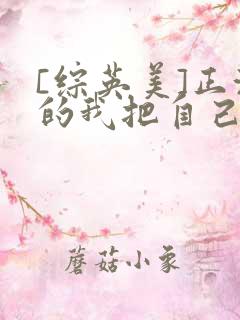 [综英美]正派的我把自己演成了反派boss