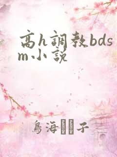 高h调教bdsm小说