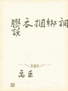 胶衣捆绑调教小说