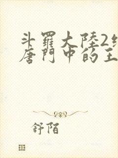 斗罗大陆2绝世唐门中的王冬