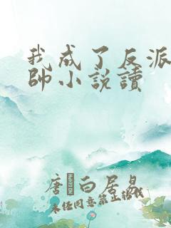 我成了反派高富帅小说读