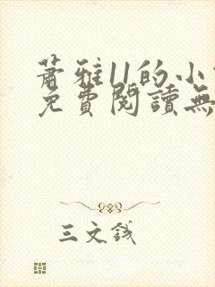 萧雅11的小说免费阅读无弹窗最新章节