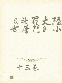 《斗罗大陆2绝世唐门》小说