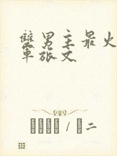 双男主最火十大军旅文